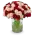 Bouquet of pink and red roses